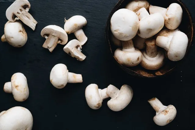 Hongos
